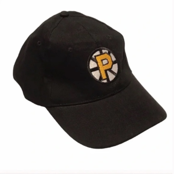 Other - ♥️SALE♥️ Black Providence Bruins Ice Hockey Baseball Hat
